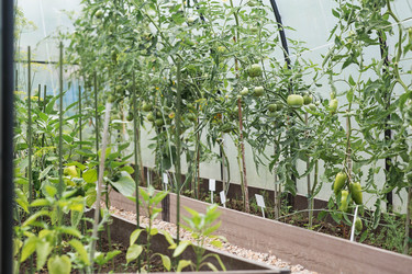 Similar image 22205412