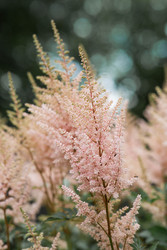 Similar image 22205413