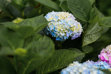 Similar image 22205633