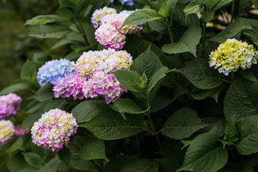 Similar image 22205634