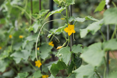 Similar image 22205636