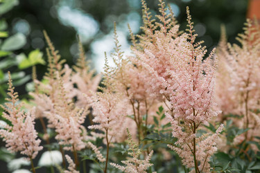 Similar image 22205637