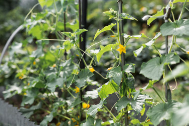 Similar image 22205641