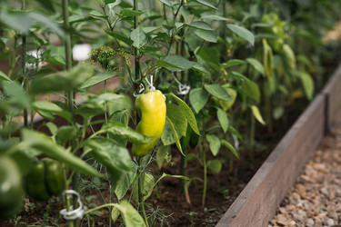 Similar image 22205642