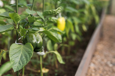 Similar image 22205644