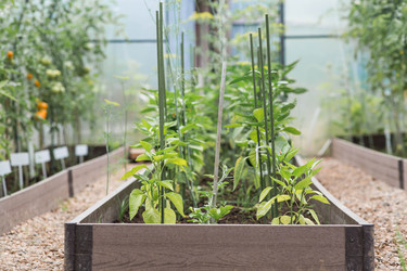 Similar image 22205645