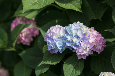 Similar image 22205646