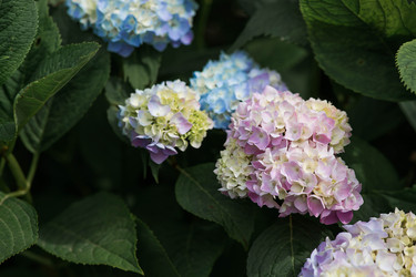 Similar image 22205651