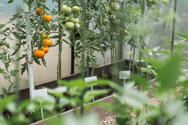 Similar image 22205658