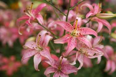 Similar image 22205659