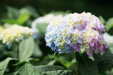 Similar image 22205660