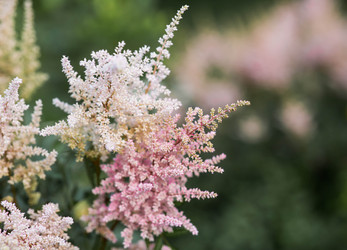 Similar image 22205662