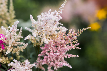 Similar image 22205663