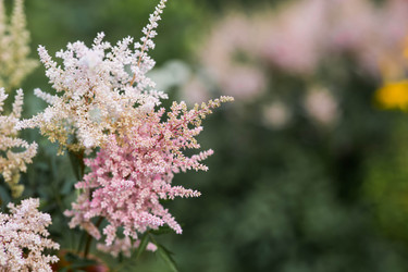 Similar image 22205664