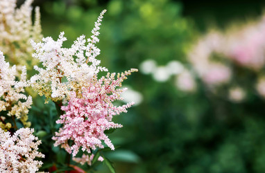 Similar image 22205665