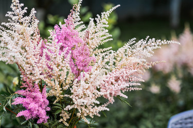 Similar image 22205666