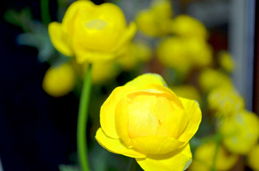 Similar image 22205263