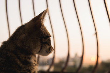 Similar image 22204542