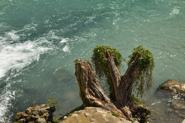 Similar image 22203303