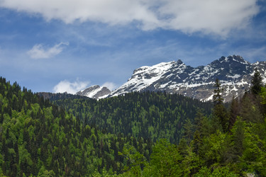 Similar image 22203306