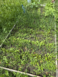 Similar image 22203811