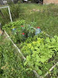 Similar image 22203812