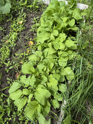 Similar image 22203813