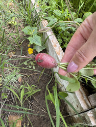 Similar image 22203814