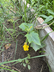 Similar image 22203815