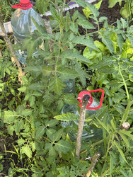 Similar image 22203818