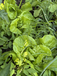 Similar image 22203819