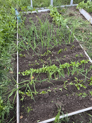 Similar image 22203823