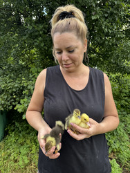 Similar image 22203833