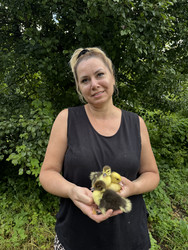 Similar image 22203834