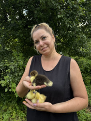 Similar image 22203835