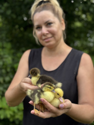 Similar image 22203837