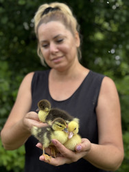 Similar image 22203838