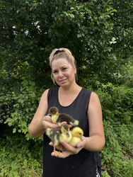 Similar image 22203840