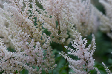 Similar image 22205323