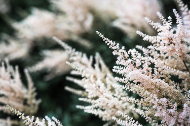 Similar image 22205325