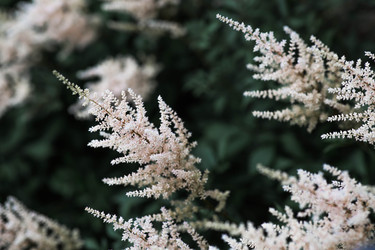 Similar image 22205326