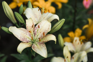 Similar image 22205327