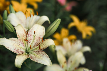 Similar image 22205328