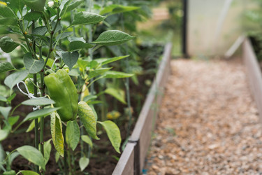 Similar image 22205329