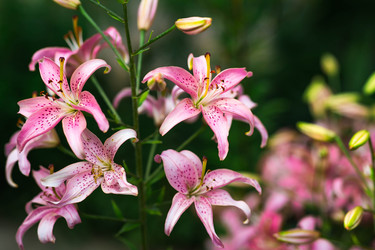 Similar image 22205330