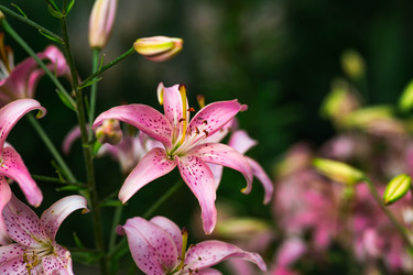 Similar image 22205331