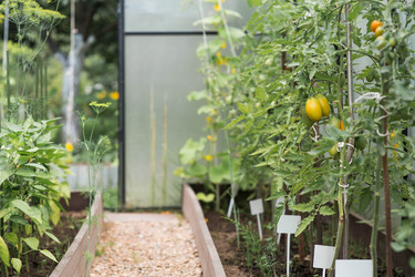 Similar image 22205333