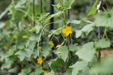 Similar image 22205414