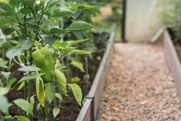 Similar image 22205415