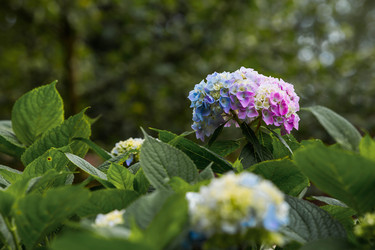 Similar image 22205416